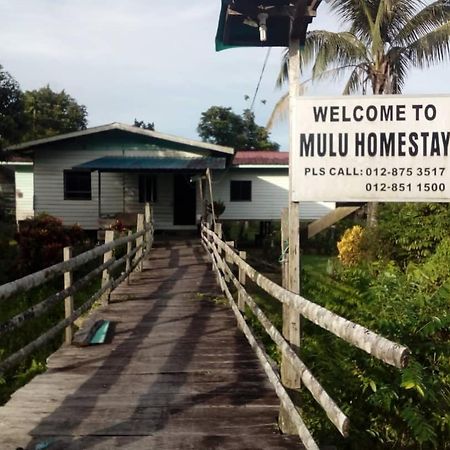 Mulu Homestay Extérieur photo