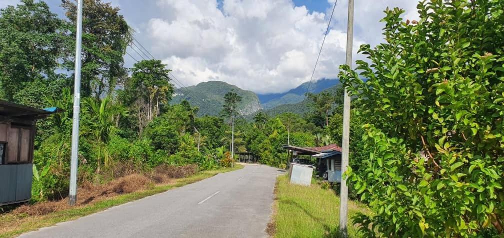 Mulu Homestay Extérieur photo