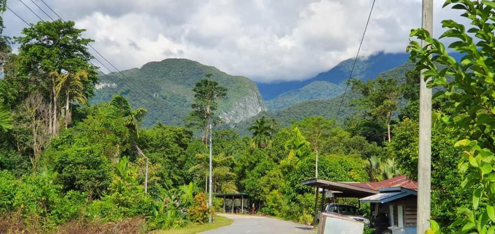 Mulu Homestay Extérieur photo