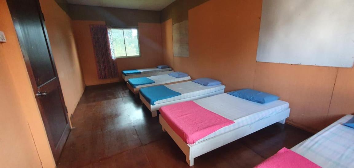 Mulu Homestay Extérieur photo